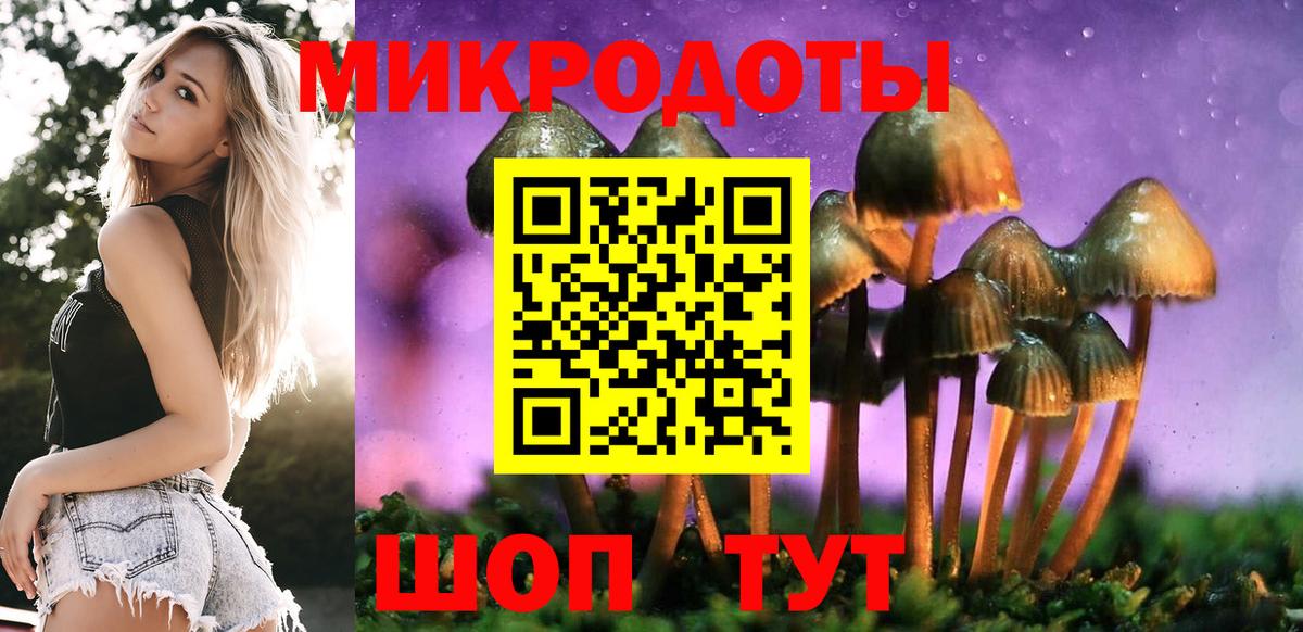 Галлюциногенные грибы Psilocybe  Вход с VPN  Галлюциногенные грибы MAGIC MUSHROOMS  магазин  наркотиков  Нижнеудинск 